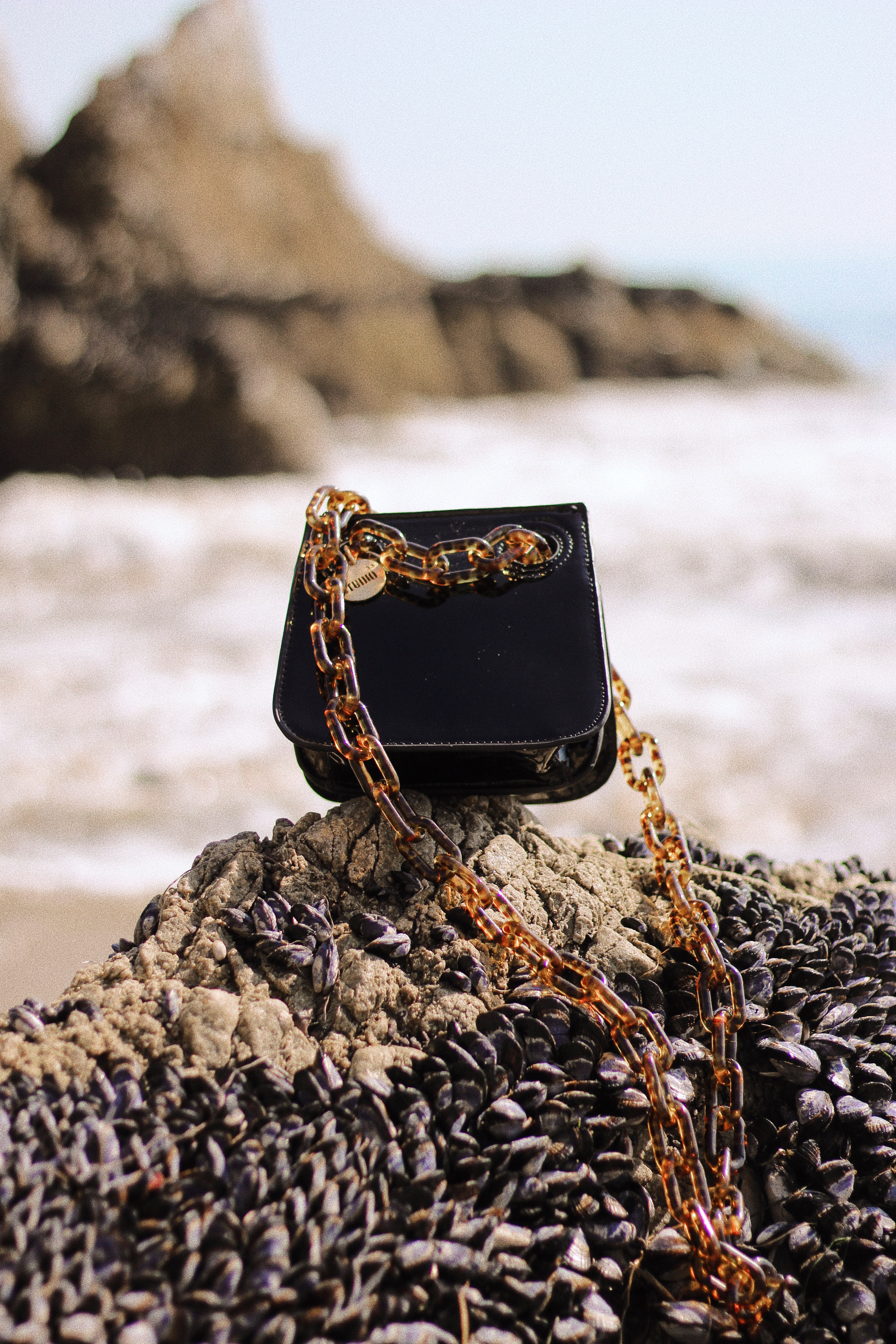 House of Want purse, accessories, El Matador Beach, affordable luxury, purse editorial, accessories editorial, beach photography